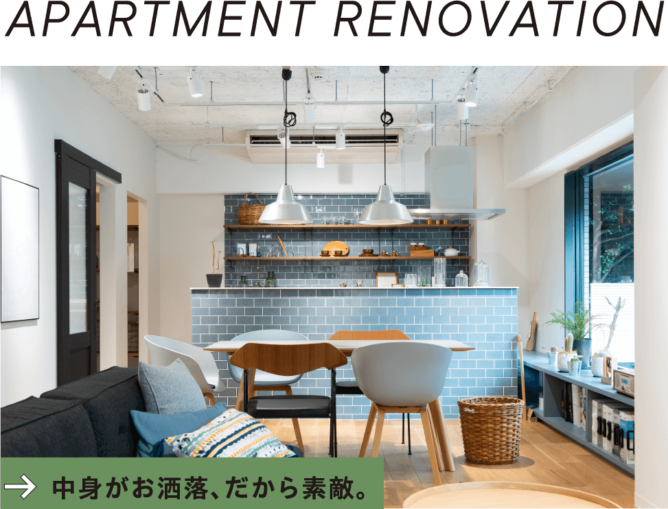 APARTMENT RENOVATION